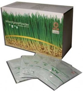 wheatgrass-whitebkg300